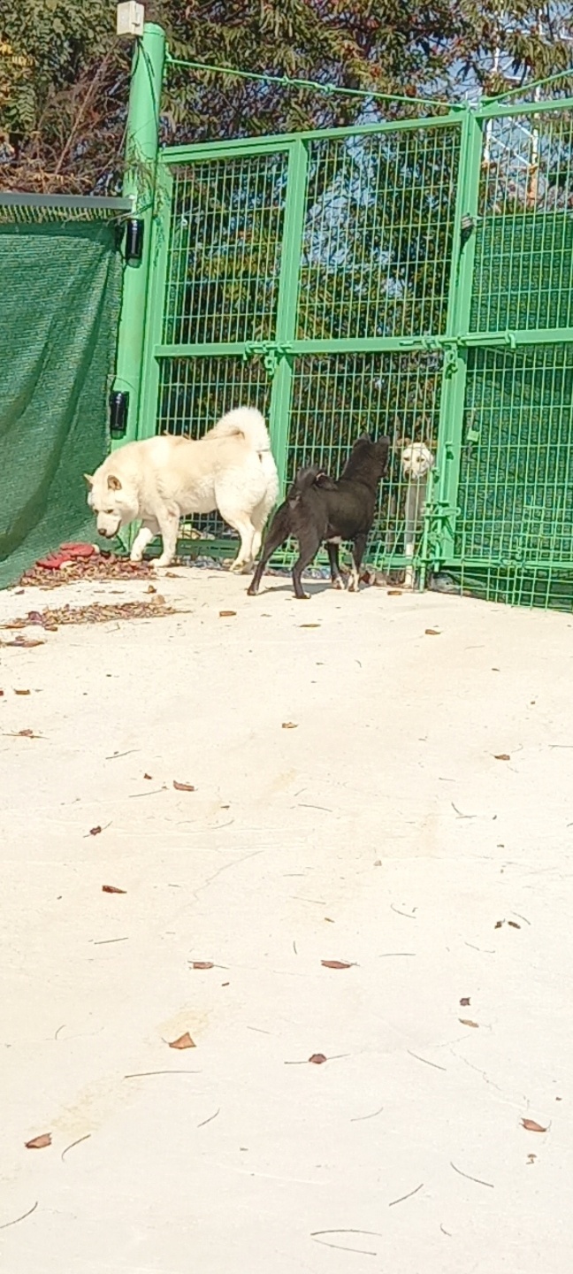 주식회사 오늘도 이미지