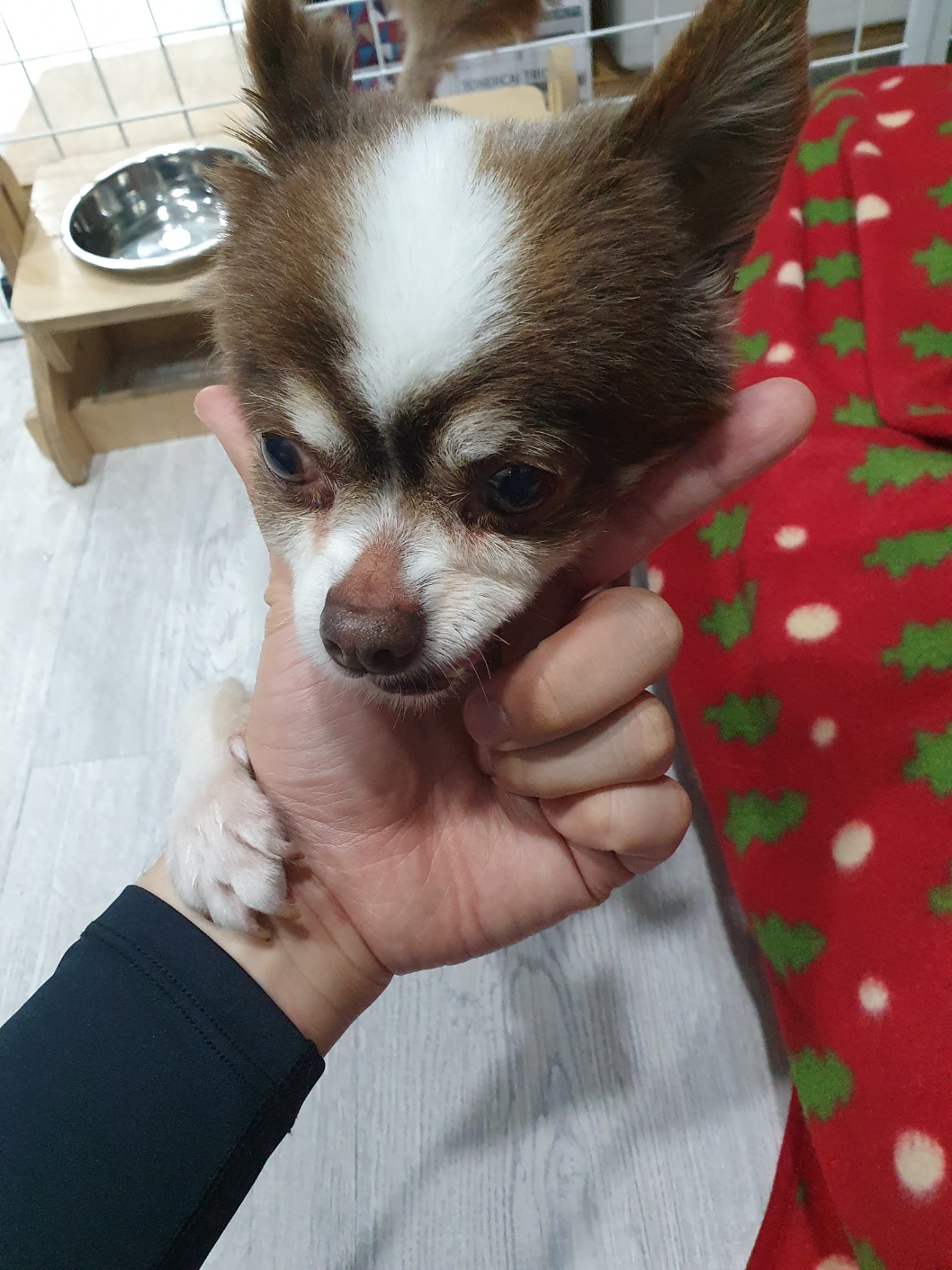 해든 이미지