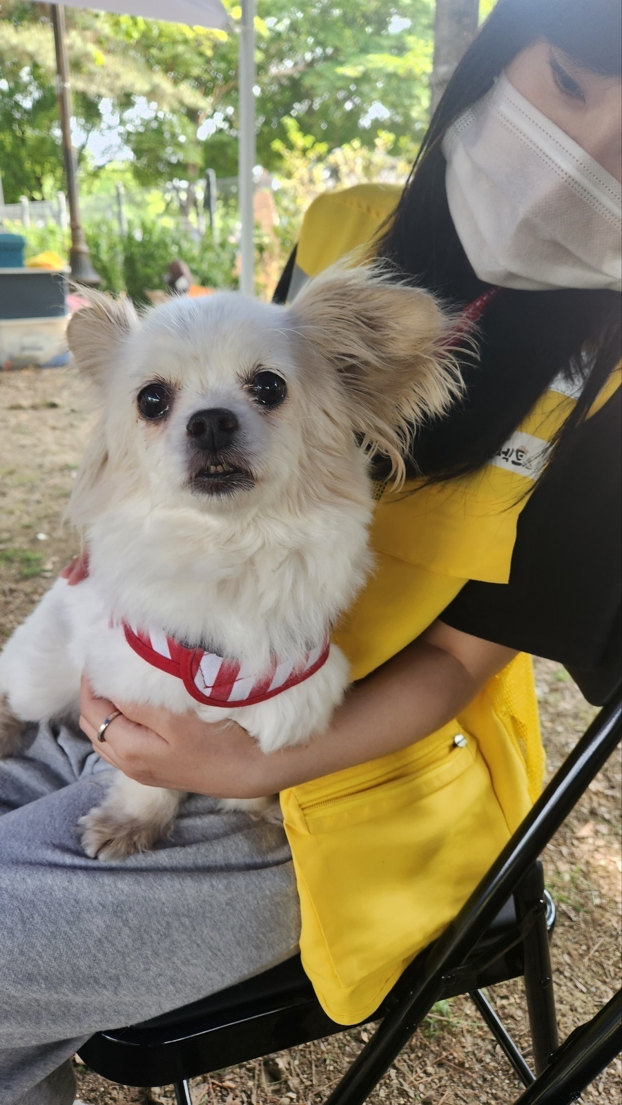 주식회사 몽실이 이미지
