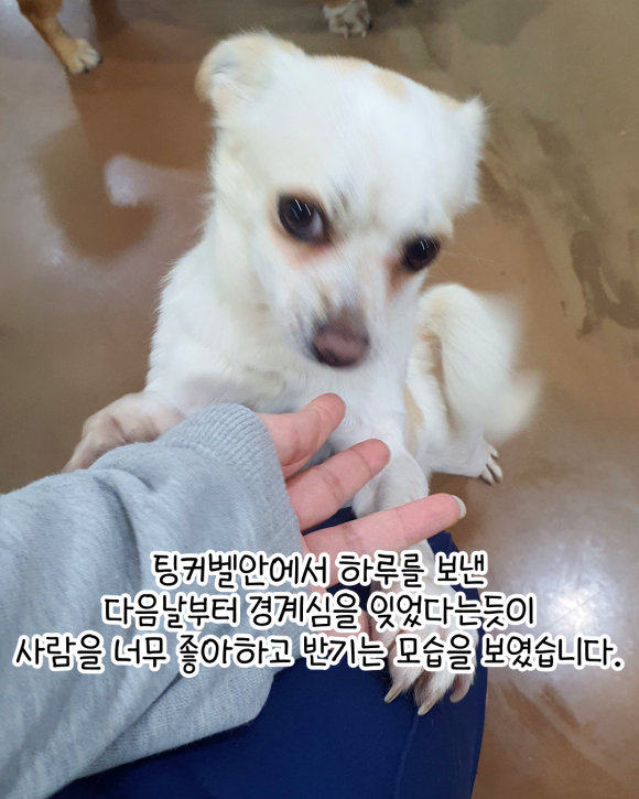 미소 이미지