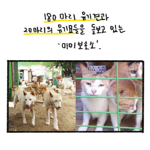 더올라 이미지