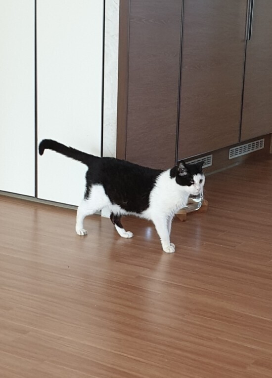 일란 이미지
