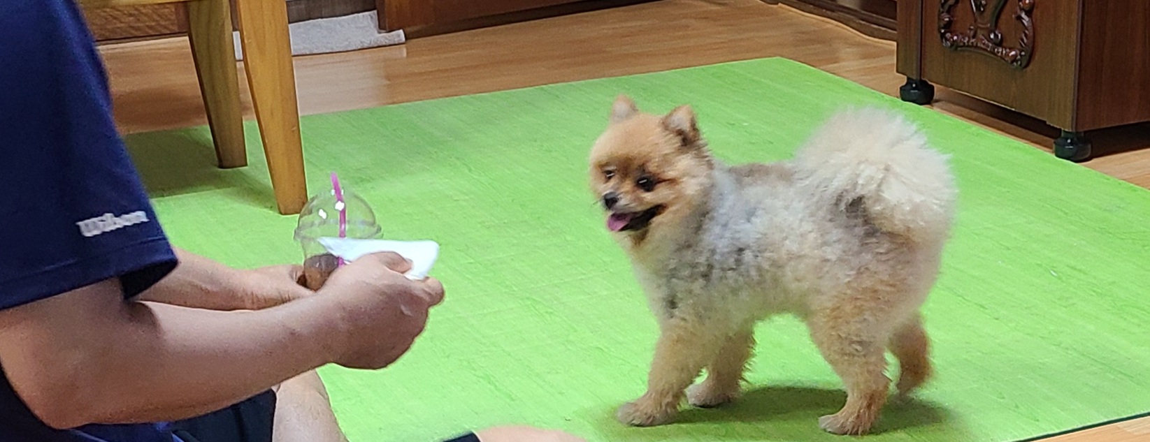 카페일기 이미지