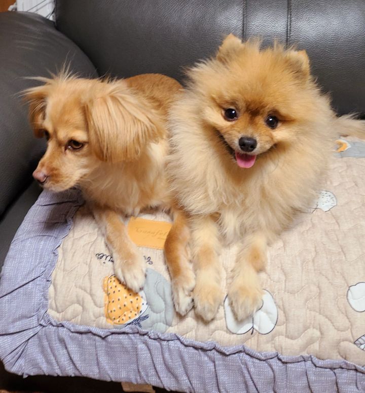 카페54 이미지