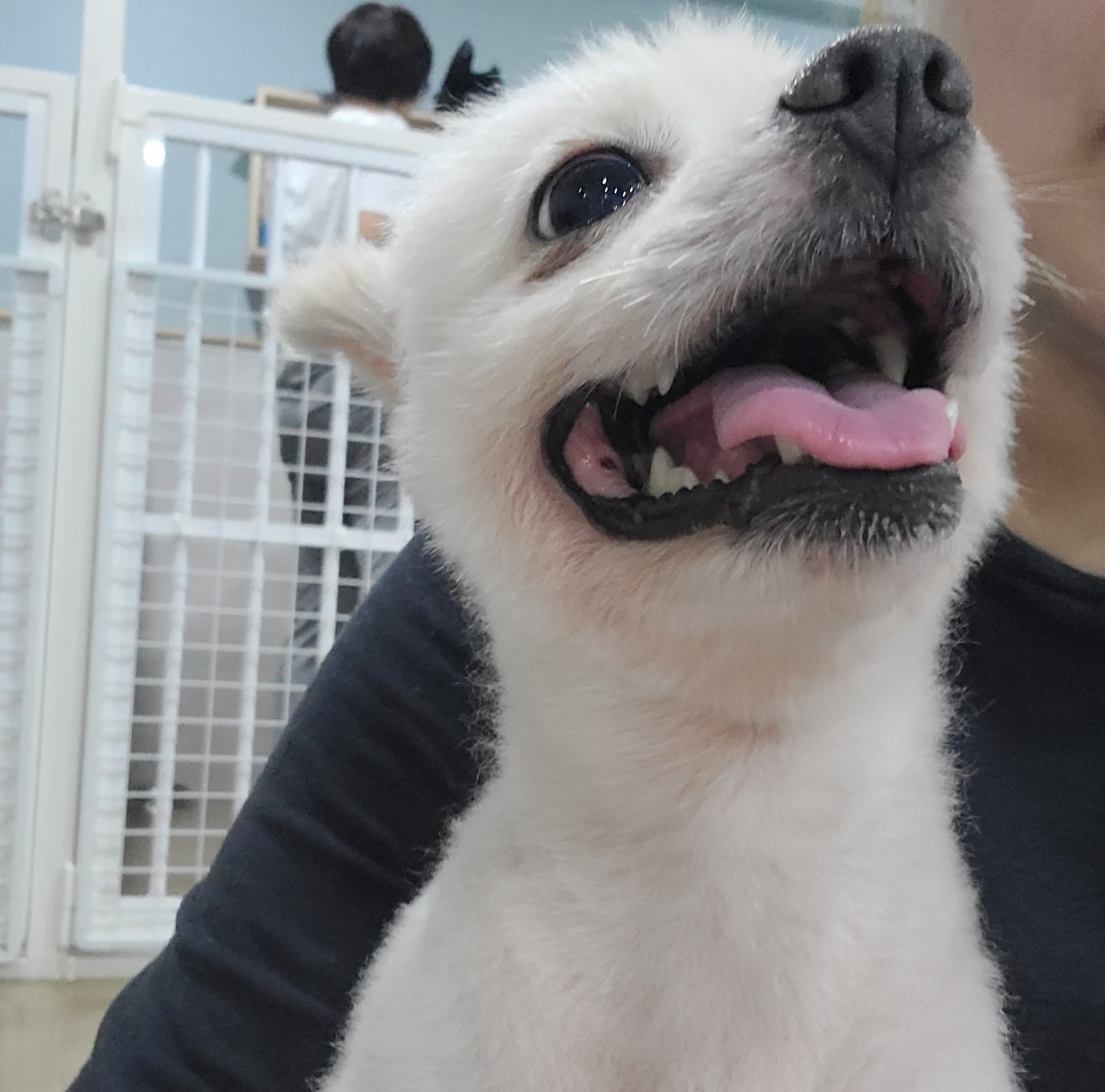 동실 이미지