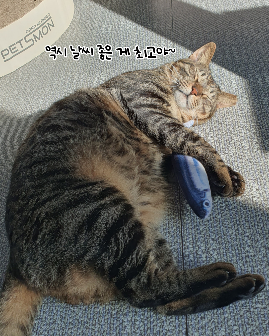햇님 이미지