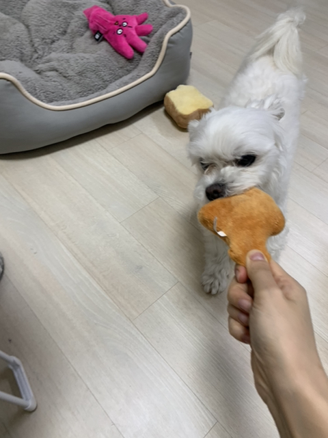 안녕라떼 이미지
