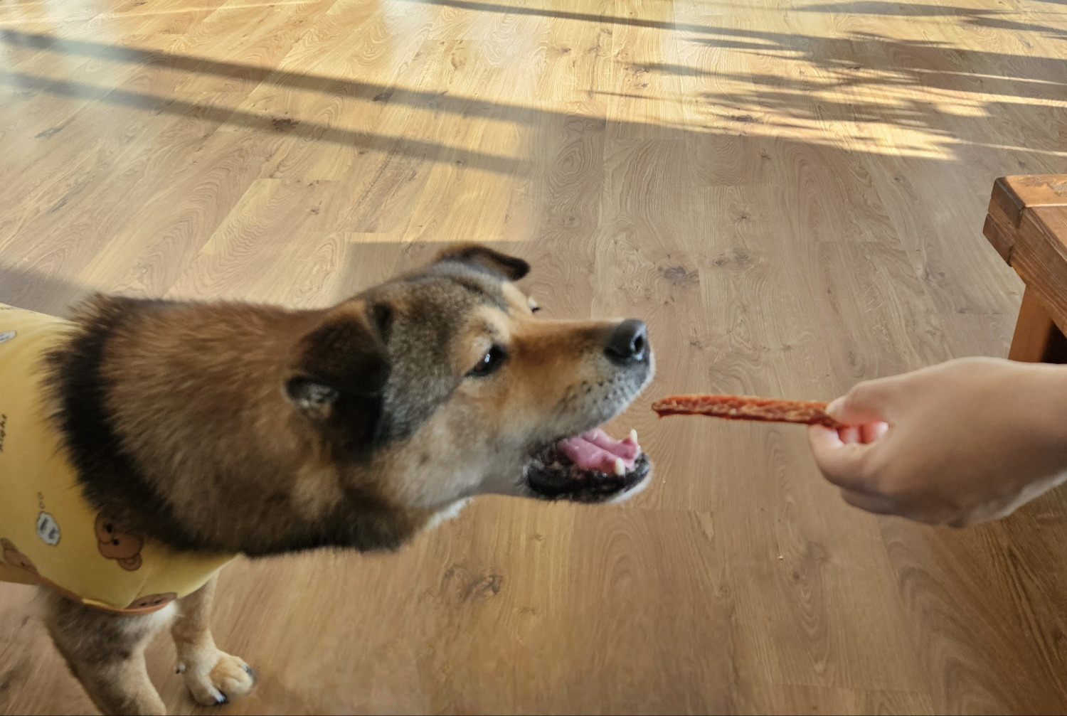 오공이 이미지
