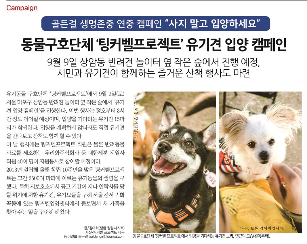 주식회사윤스 이미지