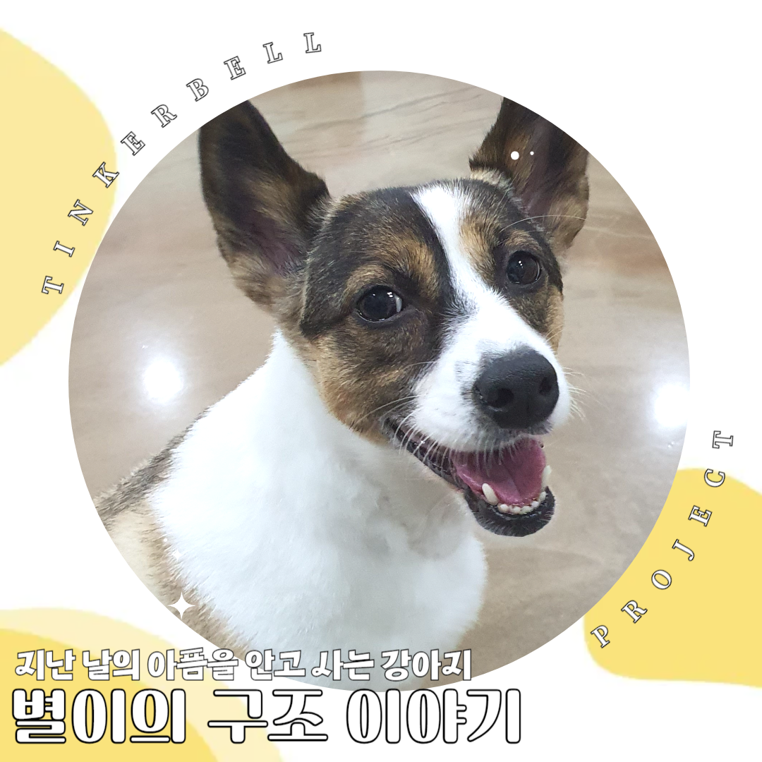 별이 이미지