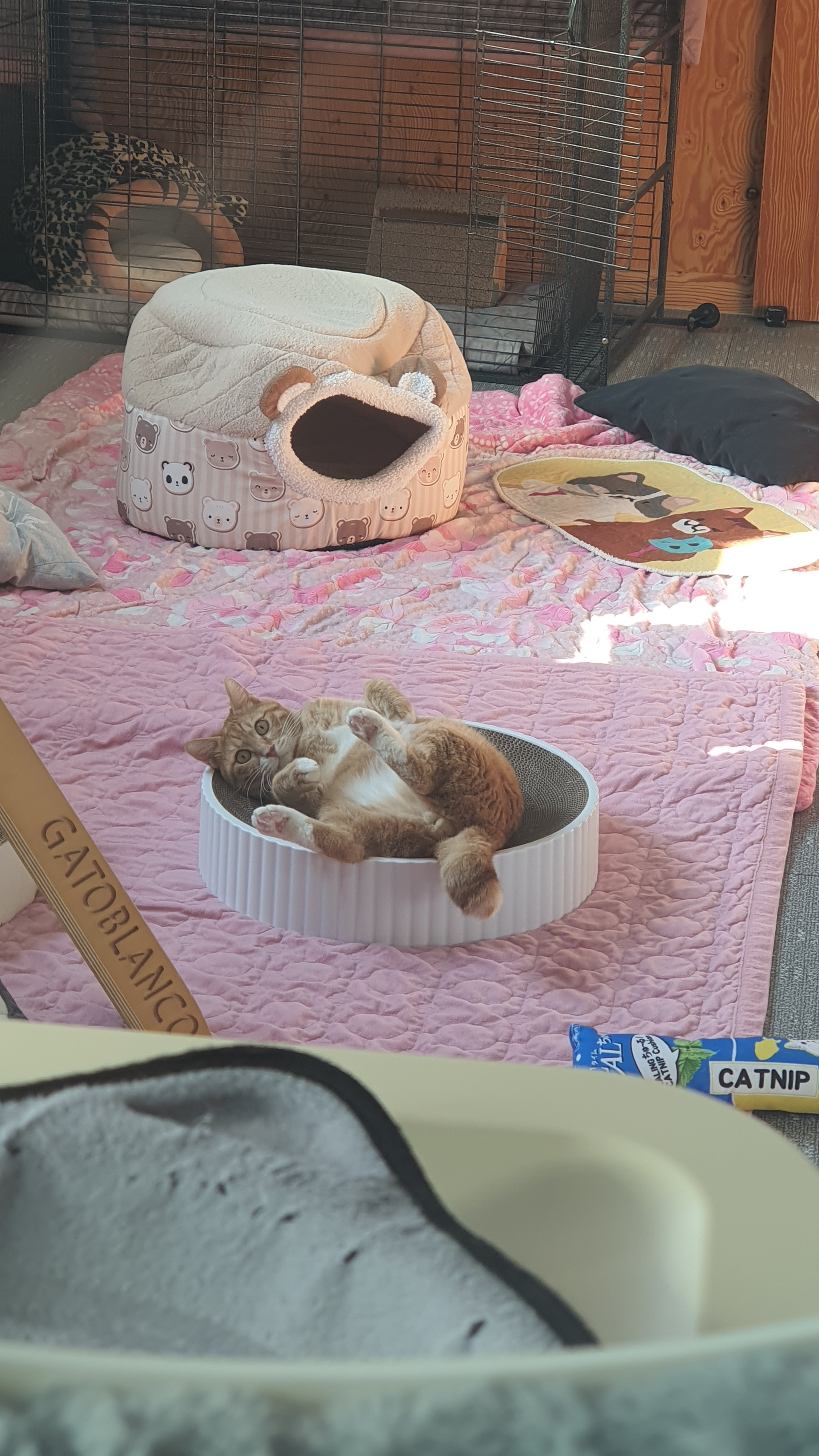 사진하는사람 이미지