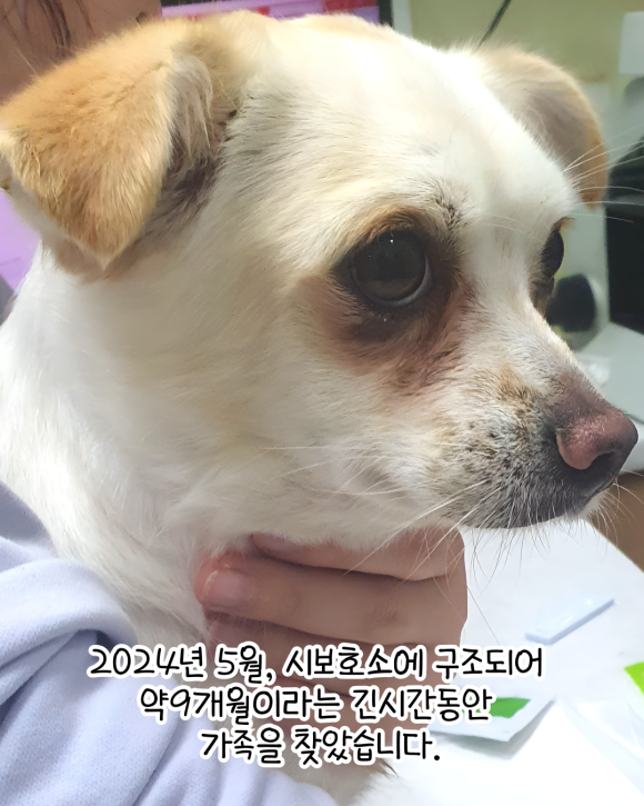 미소'# 이미지