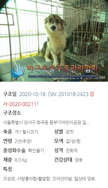 케이누리 이미지