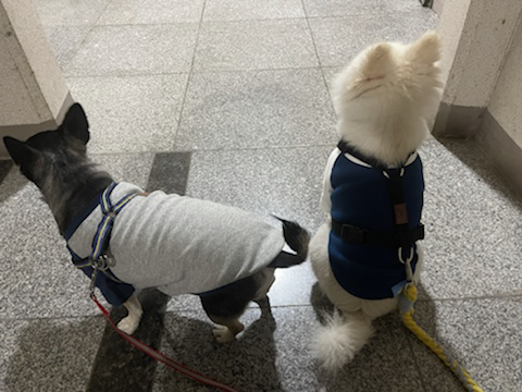 (주)두리 이미지