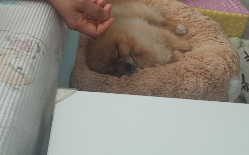 카페일기 이미지