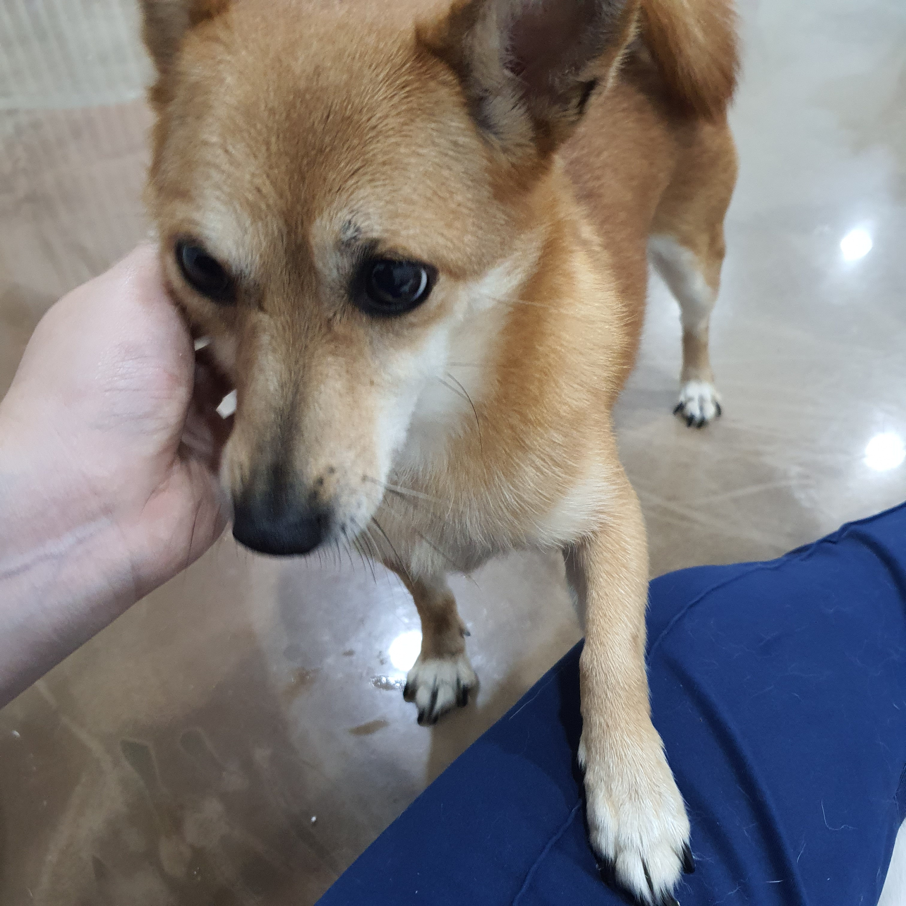 산책 이미지