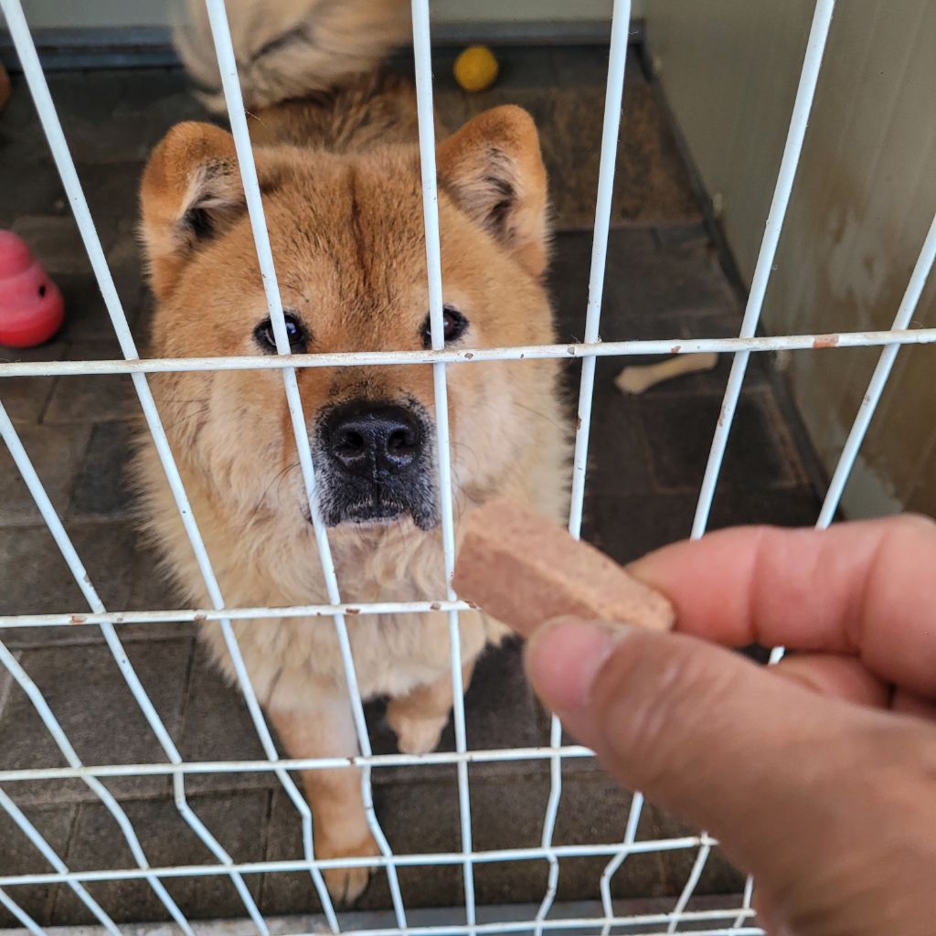 매달1일 하트가드먹는날 - ▷ 팅커벨 아이들 현황 - 팅커벨 프로젝트