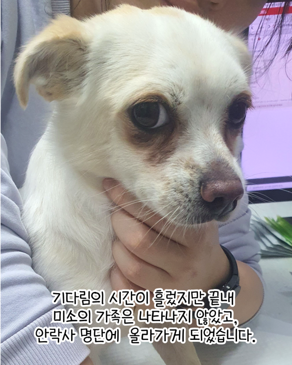 미소 이미지