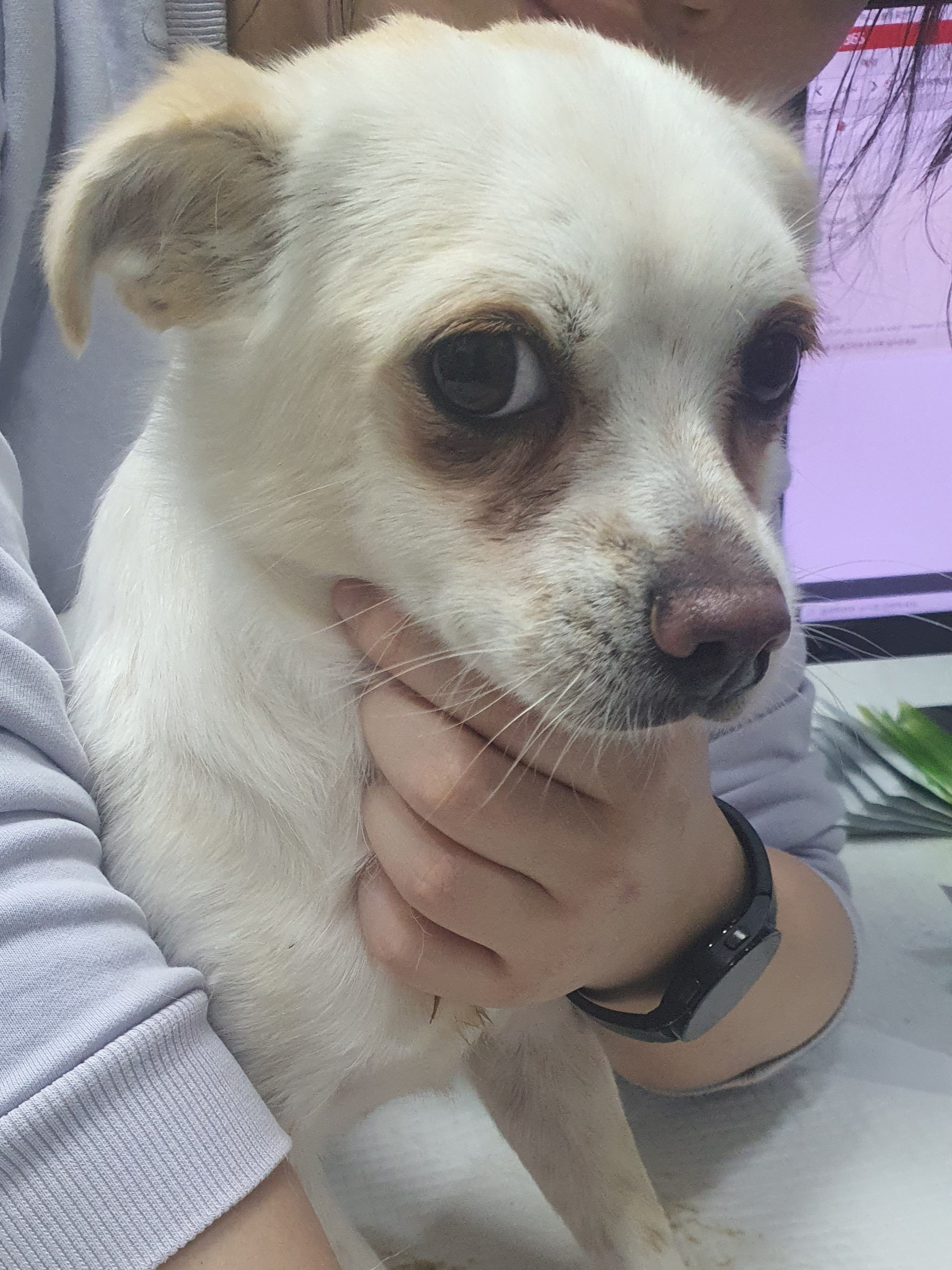 미소 이미지