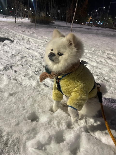 두리신발 이미지
