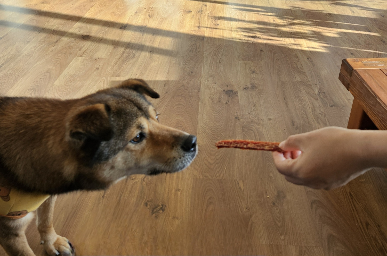 오공이 이미지
