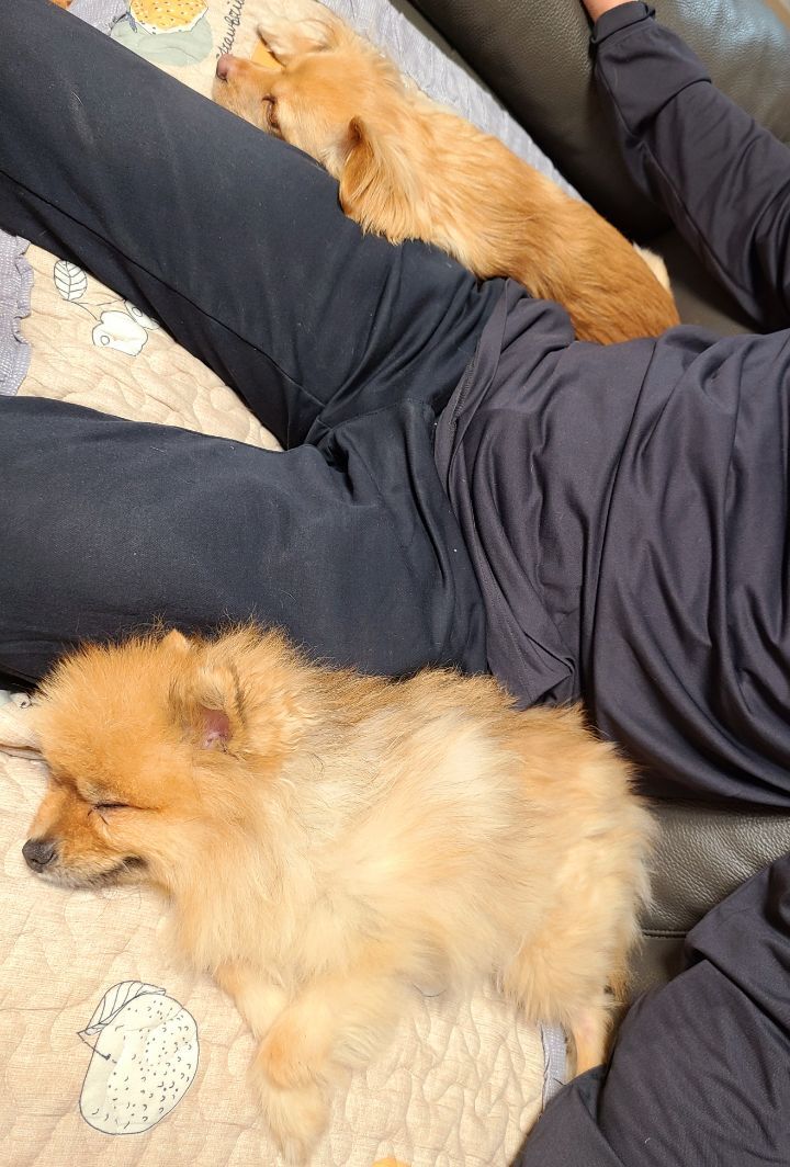 카페54 이미지