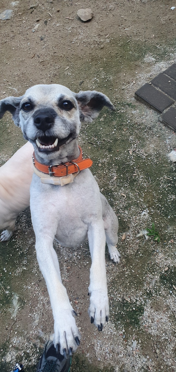 도담이 이미지