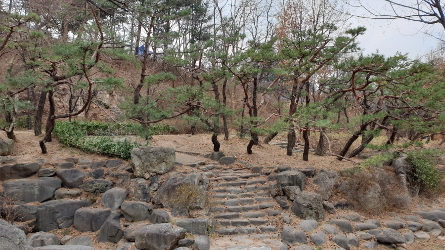 남산조경 이미지