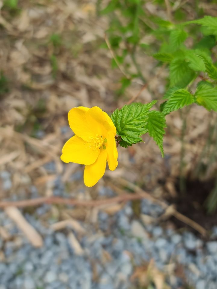 (주)호연지기 이미지