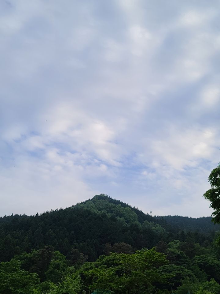 영화마을 이미지