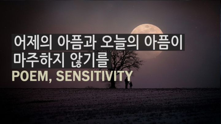해피데이 이미지