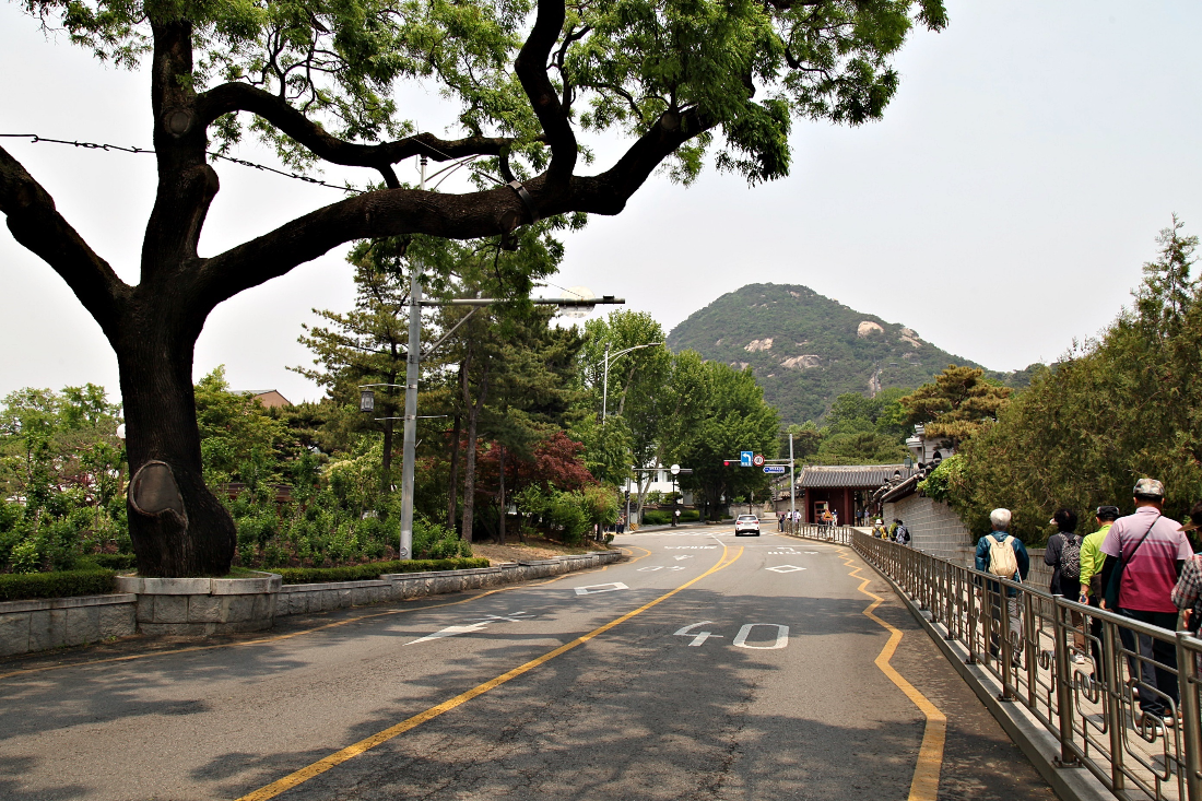 가비빈 이미지