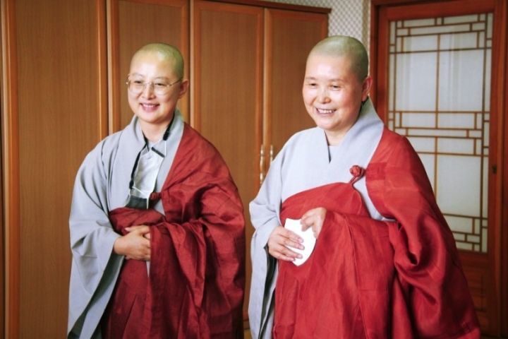 도반 이미지