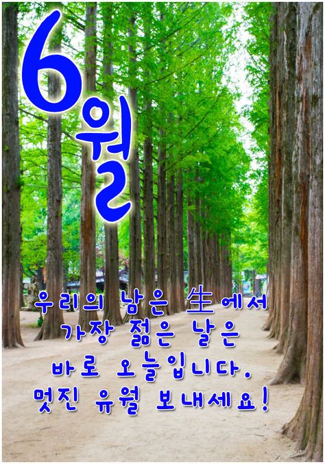 유월 이미지