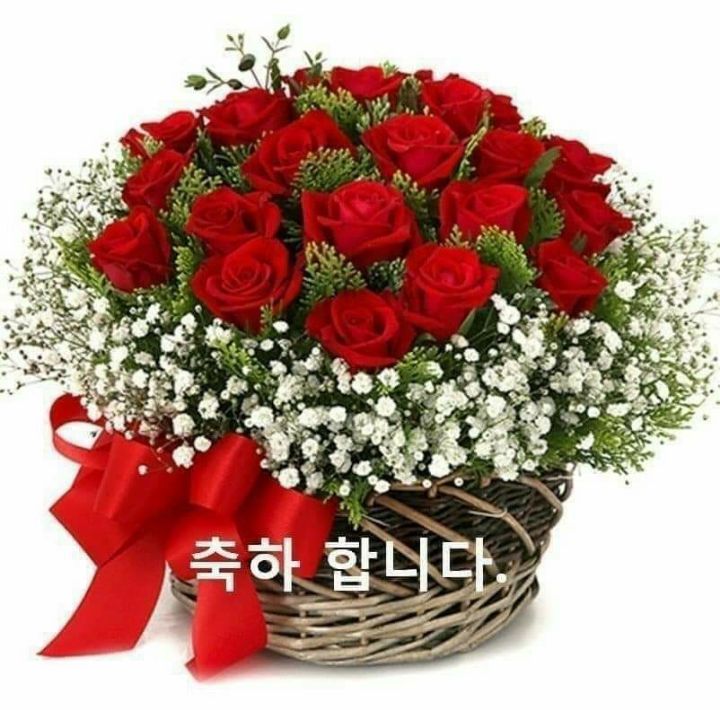 최*용6 이미지