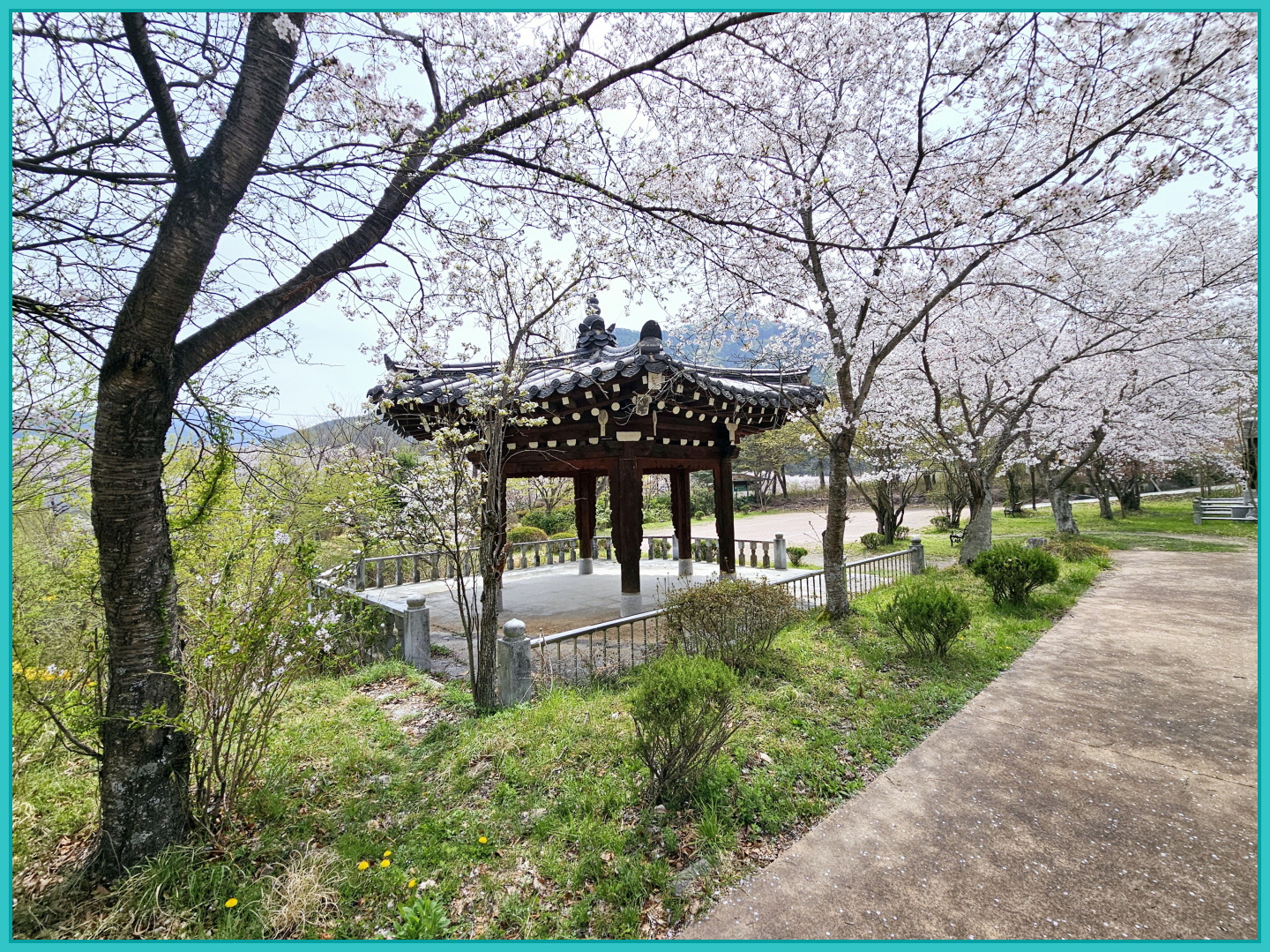 호산 이미지