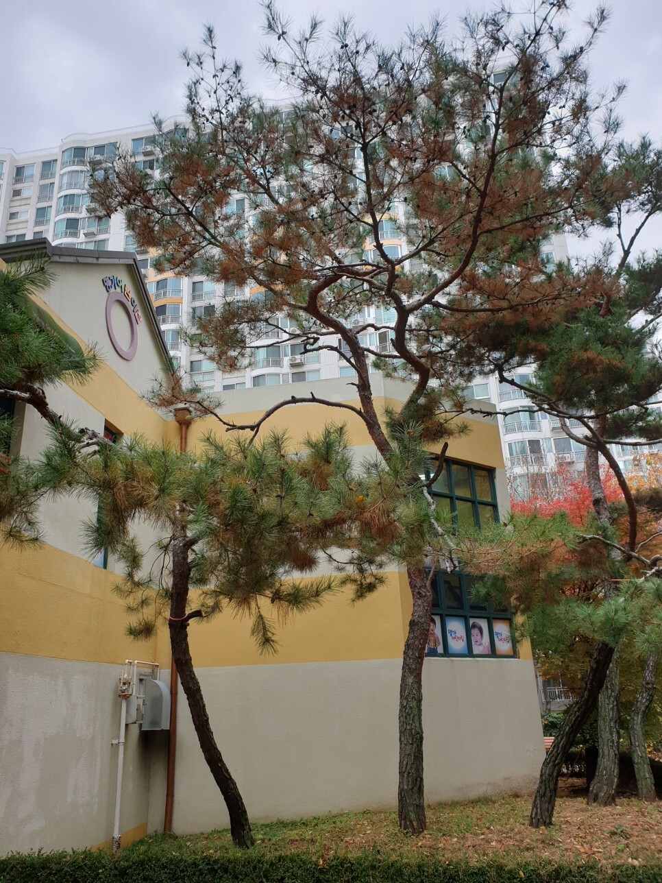 청솔환경(주) 이미지