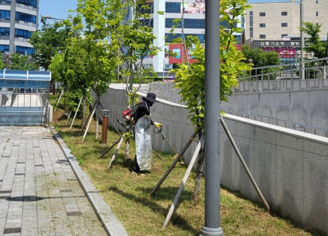 달성나무병원 이미지