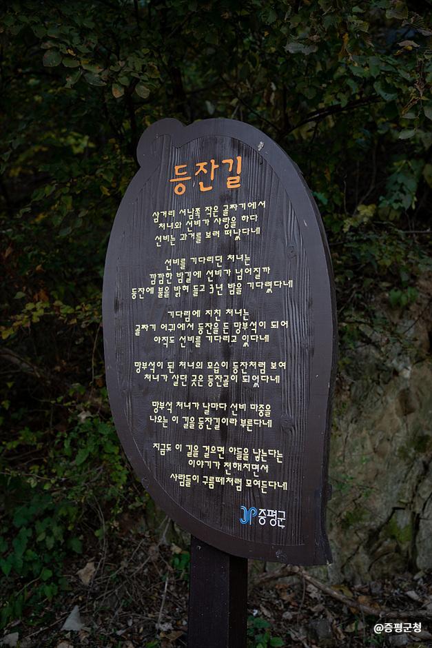 푸른잎사귀 이미지