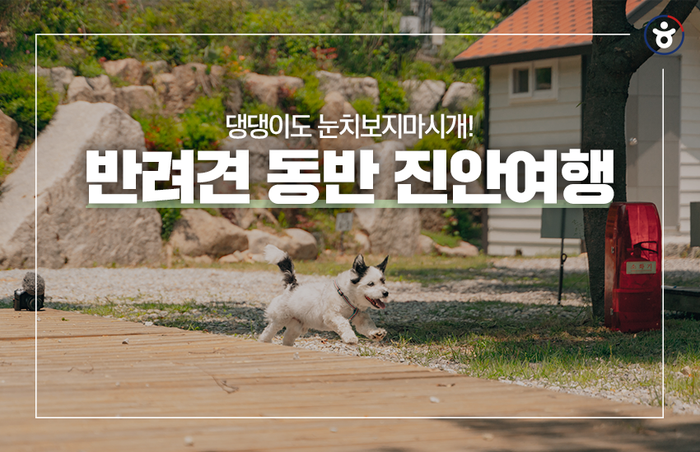 진안 국제 캠핑장 이미지