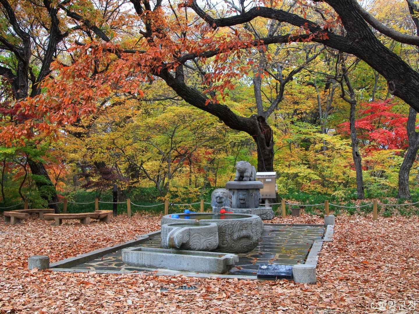 상림 이미지