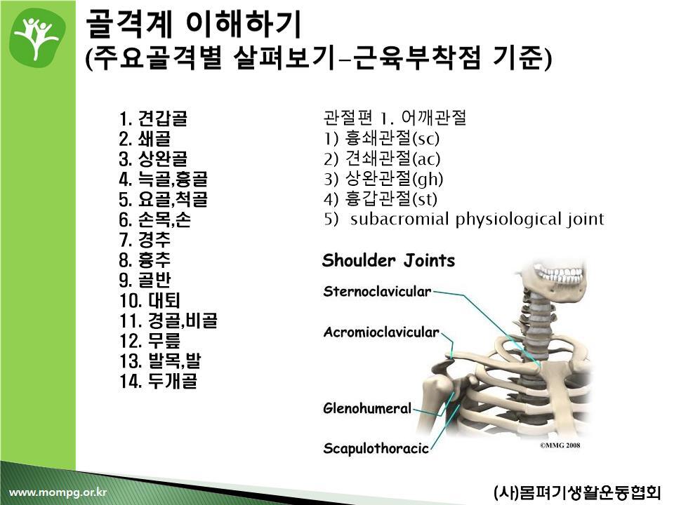 [강의 5강-1]어깨복합체- 근육 및 움직임, 회전근개를 중심 - 근육계에 대한 이해 - 몸펴기생활운동-대전(동호회)수련원