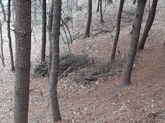 쌈지이천 이미지