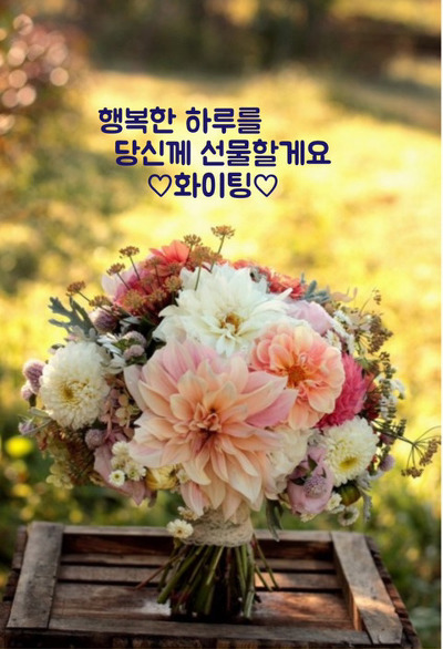 둘자네 이미지