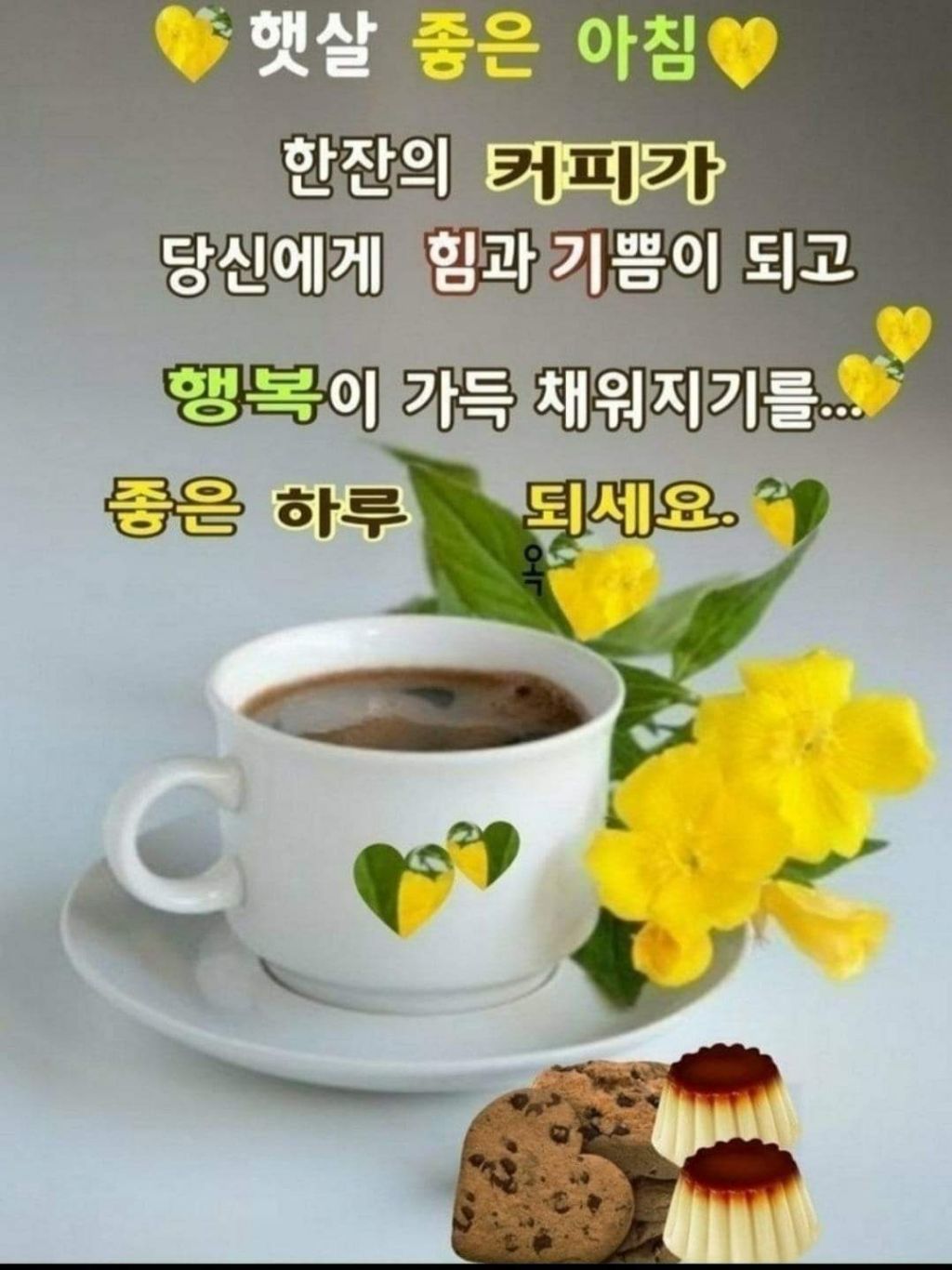 딸내미네 이미지