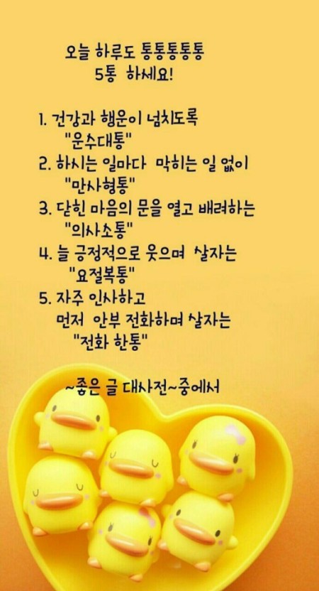통통통 이미지
