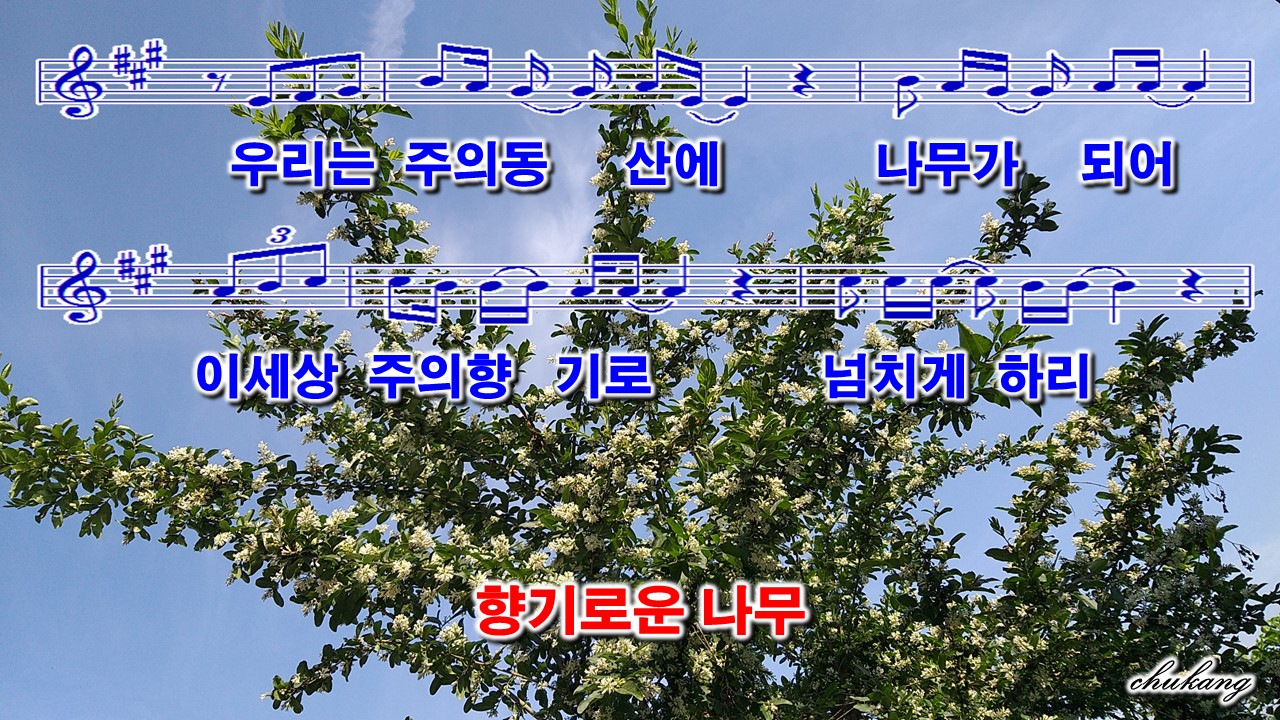 향기로운나무 이미지