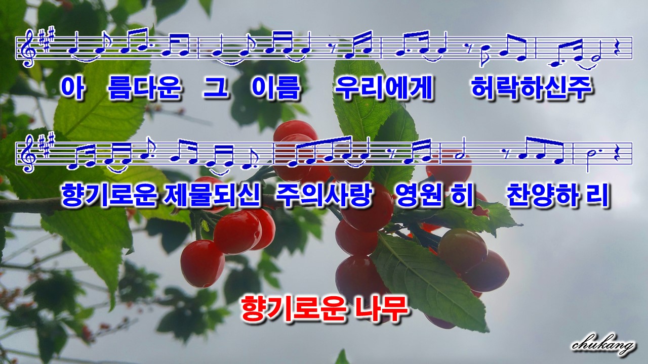 향기로운나무 이미지