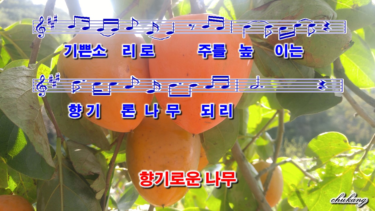 향기로운나무 이미지