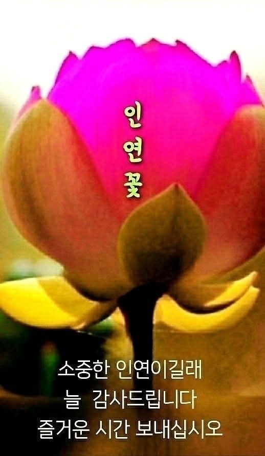 인연 이미지